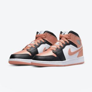 Air Jordan 1 Retro High OG Light Root