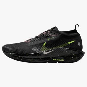 Nike Pegasus Trail 5 GTX